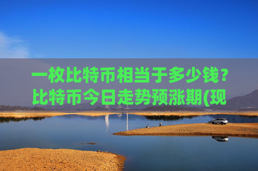 一枚比特币相当于多少钱?比特币今日走势预涨期(现价700207.07元)