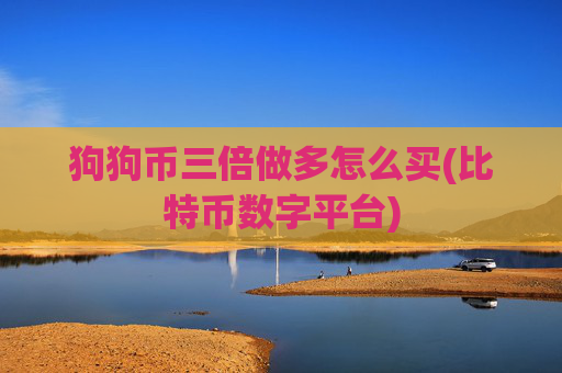 狗狗币三倍做多怎么买(比特币数字平台)