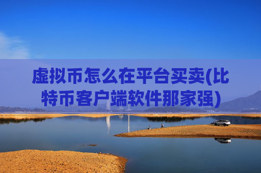 虚拟币怎么在平台买卖(比特币客户端软件那家强)