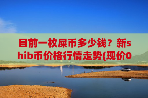 目前一枚屎币多少钱?新shib币价格行情走势(现价0.00022063元)