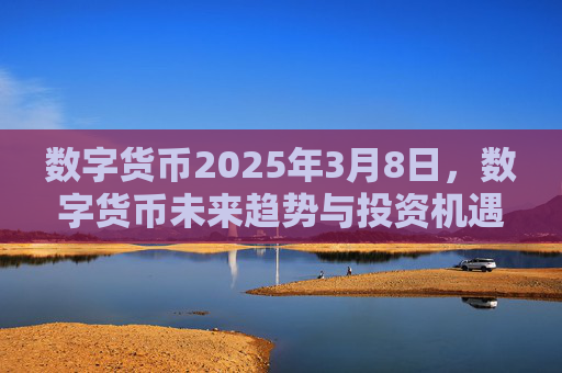 数字货币2025年3月8日,数字货币未来趋势与投资机遇