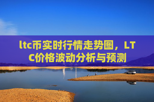 ltc币实时行情走势图，LTC价格波动分析与预测