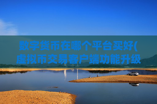 数字货币在哪个平台买好(虚拟币交易客户端功能升级)
