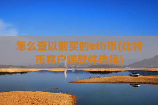 怎么查以前买的eth币(比特币客户端软件选择)