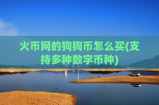 火币网的狗狗币怎么买(支持多种数字币种)