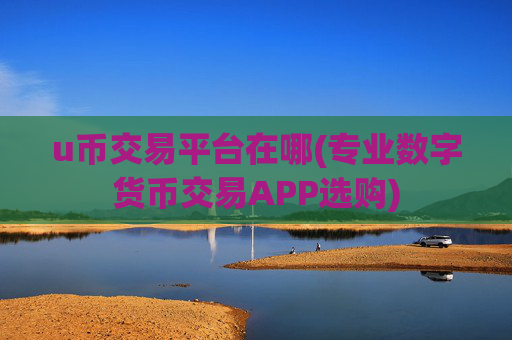 u币交易平台在哪(专业数字货币交易APP选购)