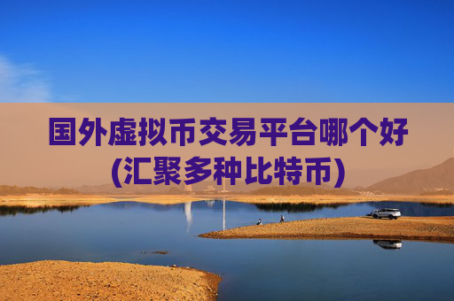 国外虚拟币交易平台哪个好(汇聚多种比特币)