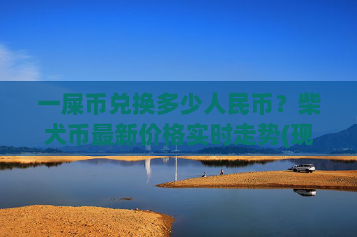 一屎币兑换多少人民币?柴犬币最新价格实时走势(现价0.0002196元)