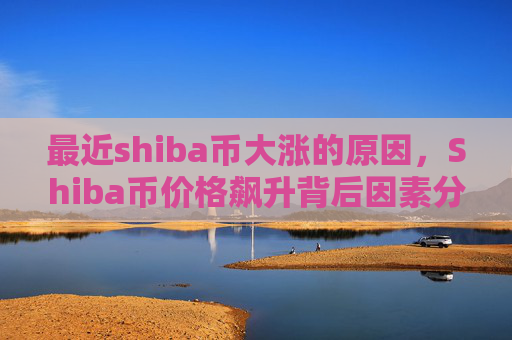 最近shiba币大涨的原因,Shiba币价格飙升背后因素分析