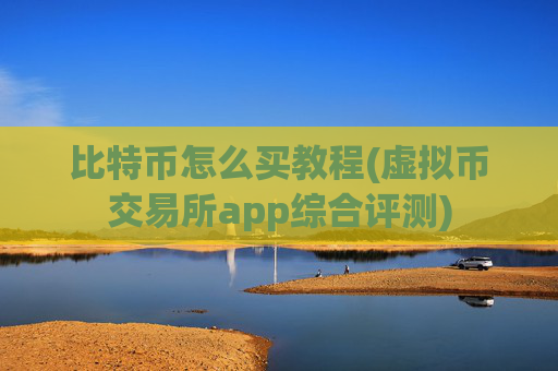 比特币怎么买教程(虚拟币交易所app综合评测)