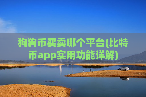 狗狗币买卖哪个平台(比特币app实用功能详解)