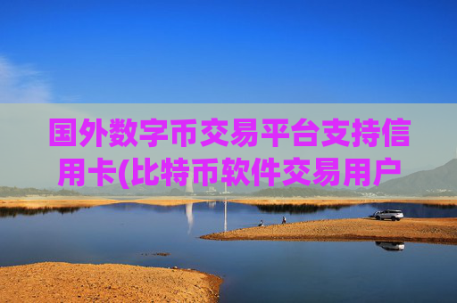 国外数字币交易平台支持信用卡(比特币软件交易用户体验)