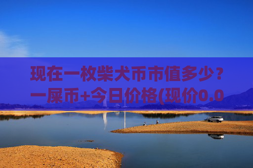 现在一枚柴犬币市值多少？一屎币+今日价格(现价0.00021502元)