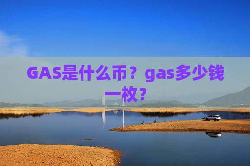 GAS是什么币?gas多少钱一枚?