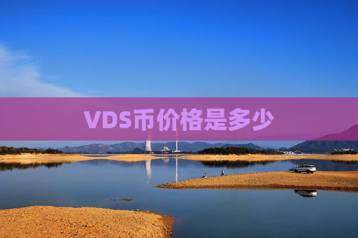 VDS币价格是多少
