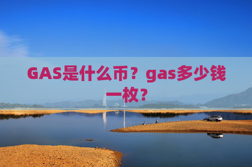 GAS是什么币?gas多少钱一枚?