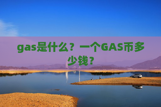 gas是什么？一个GAS币多少钱？