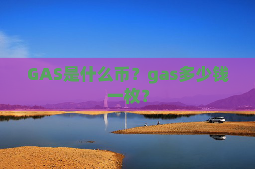 GAS是什么币?gas多少钱一枚?