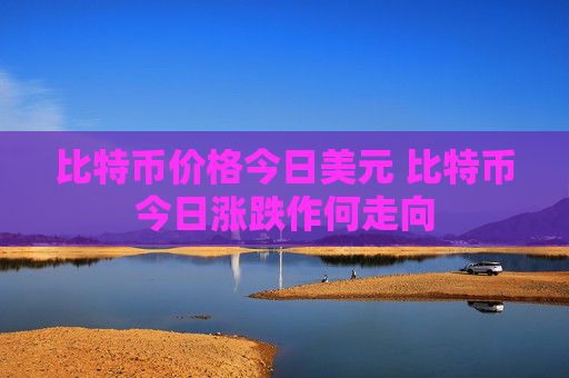 比特币价格今日美元 比特币今日涨跌作何走向