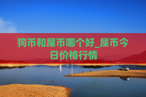 狗币和屎币哪个好_屎币今日价格行情