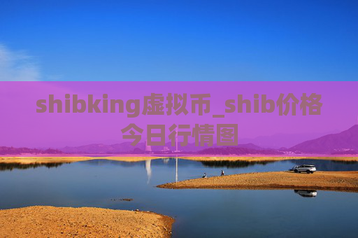 shibking虚拟币_shib价格今日行情图