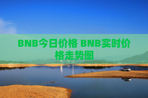 BNB今日价格 BNB实时价格走势图