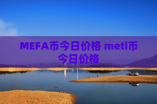 MEFA币今日价格 meti币今日价格