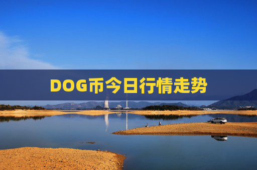 DOG币今日行情走势
