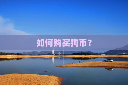 如何购买狗币?