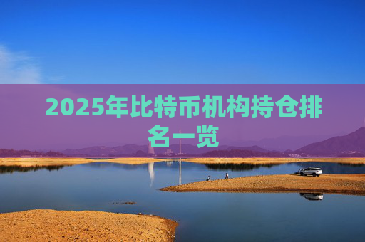2025年比特币机构持仓排名一览