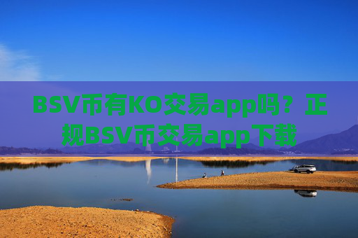 BSV币有KO交易app吗?正规BSV币交易app下载