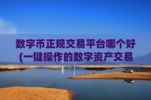 数字币正规交易平台哪个好(一键操作的数字资产交易所)