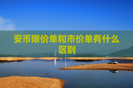 安币限价单和市价单有什么区别