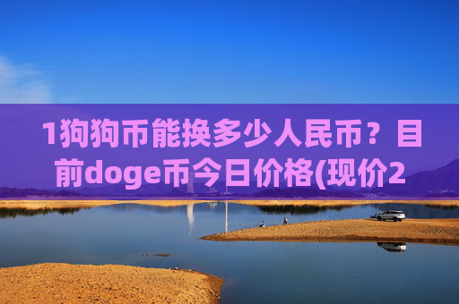 1狗狗币能换多少人民币?目前doge币今日价格(现价2.3353元)
