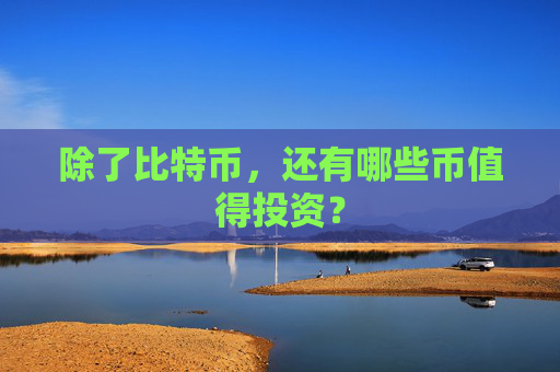 除了比特币,还有哪些币值得投资?