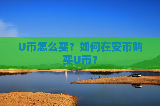 U币怎么买?如何在安币购买U币?