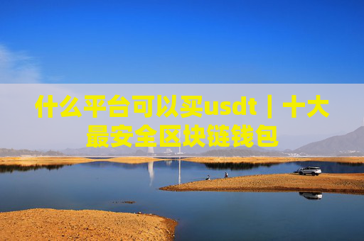 什么平台可以买usdt｜十大最安全区块链钱包