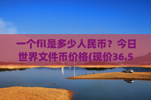 一个fil是多少人民币？今日世界文件币价格(现价36.5012元)