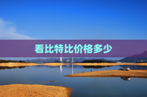 看比特比价格多少