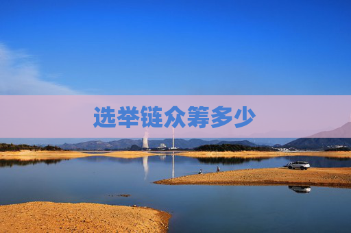 选举链众筹多少
