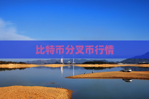比特币分叉币行情
