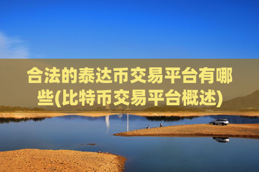 合法的泰达币交易平台有哪些(比特币交易平台概述)
