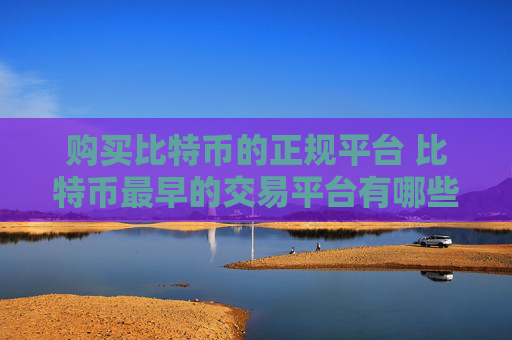 购买比特币的正规平台 比特币最早的交易平台有哪些?