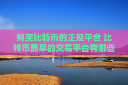购买比特币的正规平台 比特币最早的交易平台有哪些?