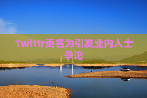 Twittr更名为引发业内人士争论