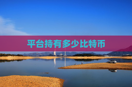 平台持有多少比特币