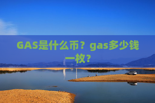 GAS是什么币?gas多少钱一枚?