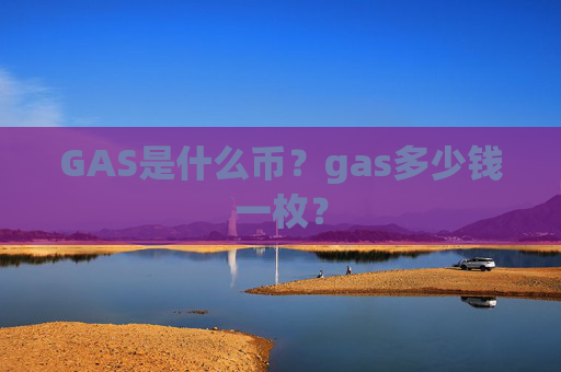 GAS是什么币?gas多少钱一枚?