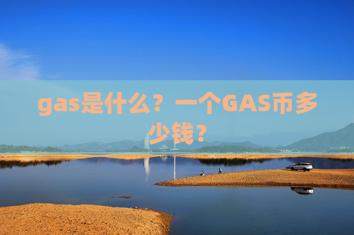 gas是什么？一个GAS币多少钱？