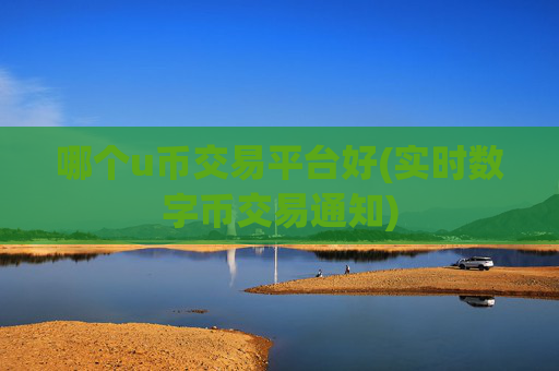 哪个u币交易平台好(实时数字币交易通知)